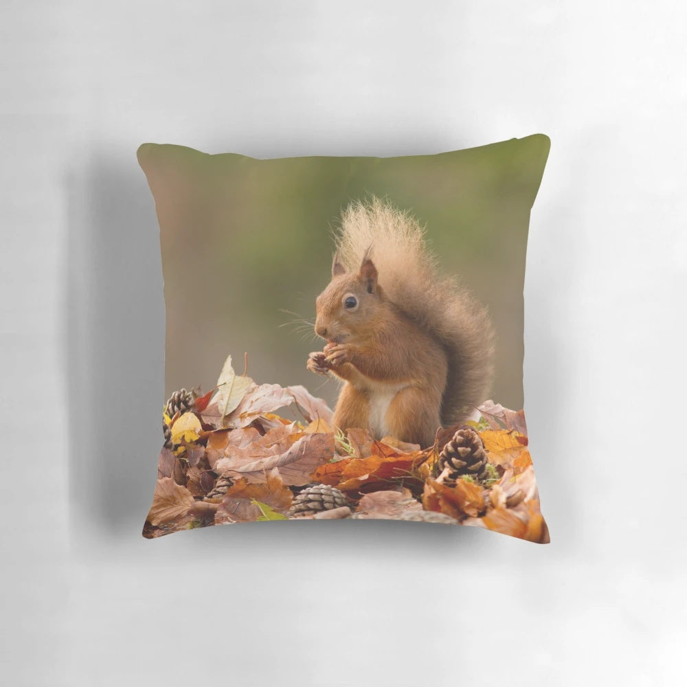 Red squirrel nestled in autumnal leaves on a pillow