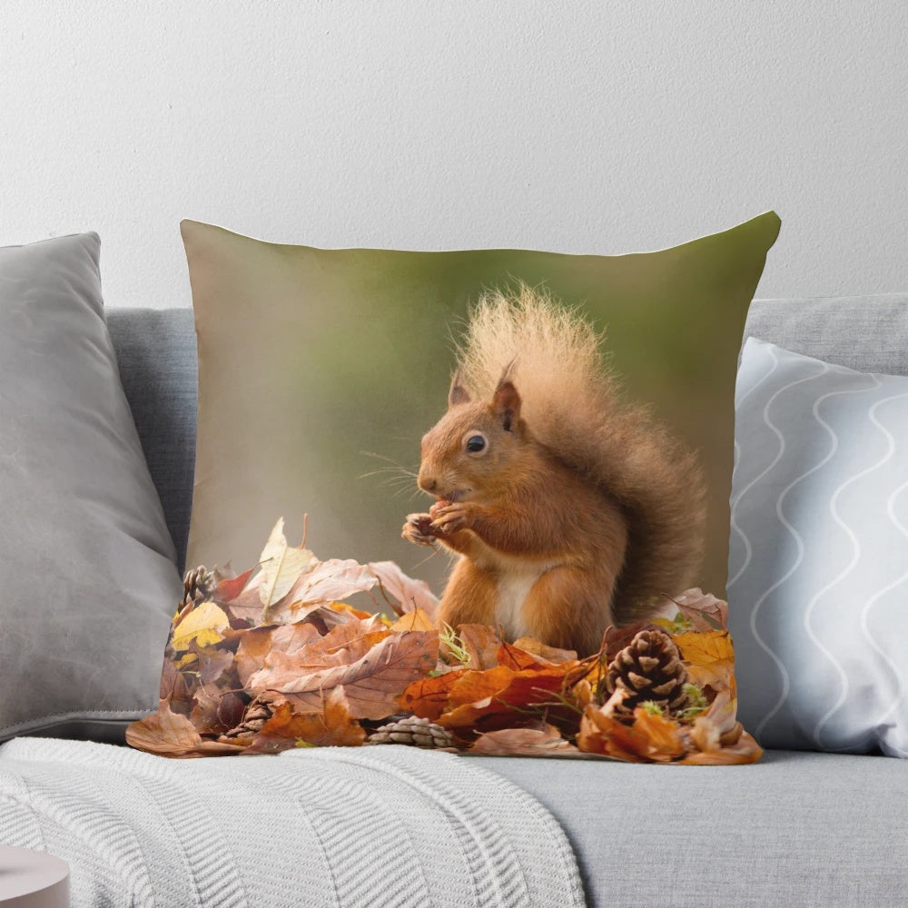 Red squirrel nestled in autumnal leaves on a pillow