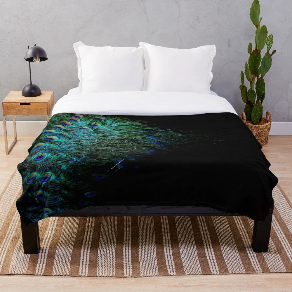 Vibrant peacock feathers on a black background