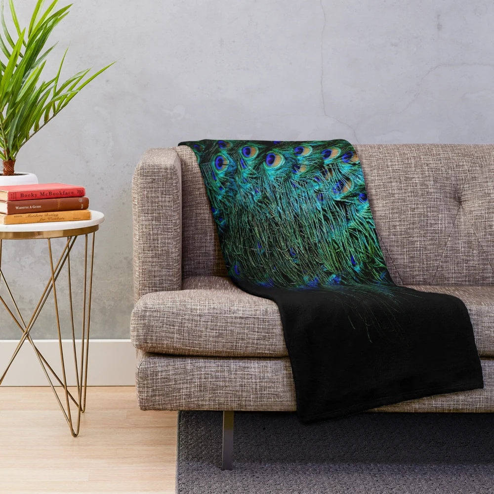 Vibrant peacock feathers on a black background