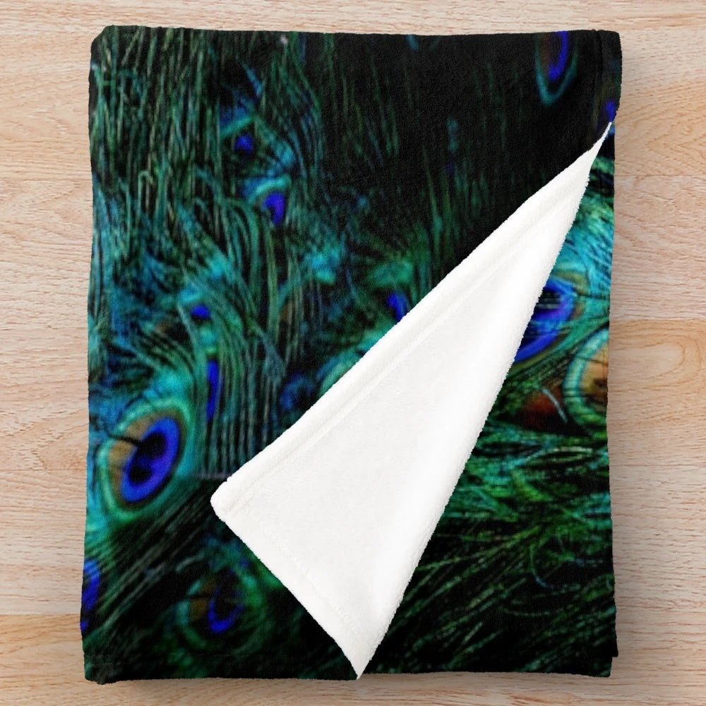 Vibrant peacock feathers on a black background
