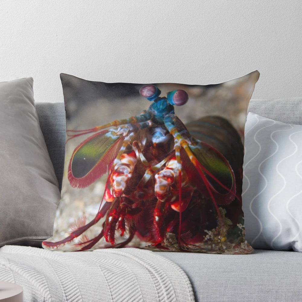 Colorful pillow featuring a realistic peacock mantis shrimp, an exotic underwater creature.
