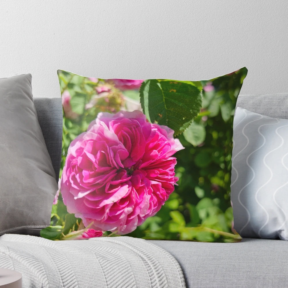 Closeup of a Lush, Pink Peony Blossom Pillow
