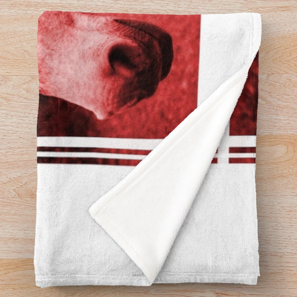 Soft, plush blanket featuring a blurred image of horses in red and blue