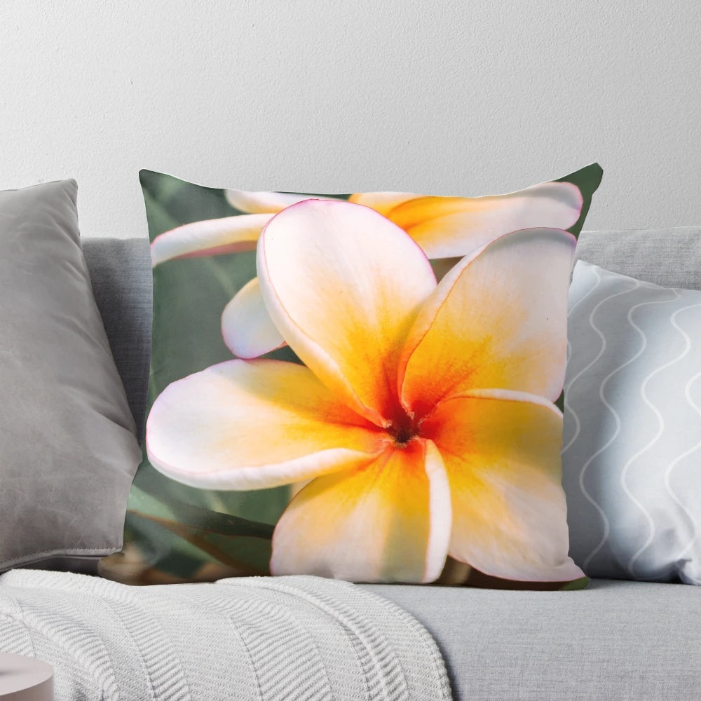 Pillow featuring vibrant orange plumeria or frangipani tropical flowers on a tree