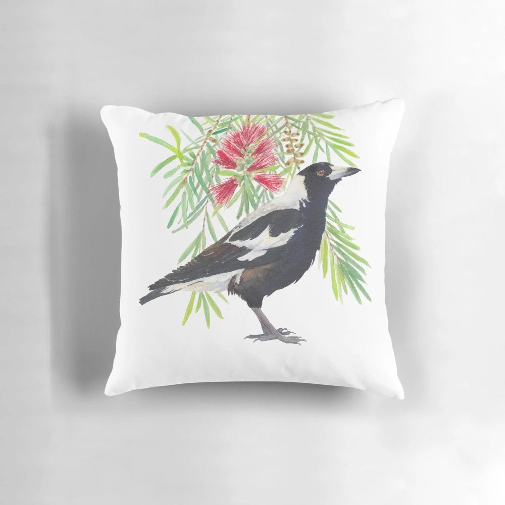Colorful watercolor illustration of an Australian magpie bird perched on a bottlebrush tree branch with red flowers.