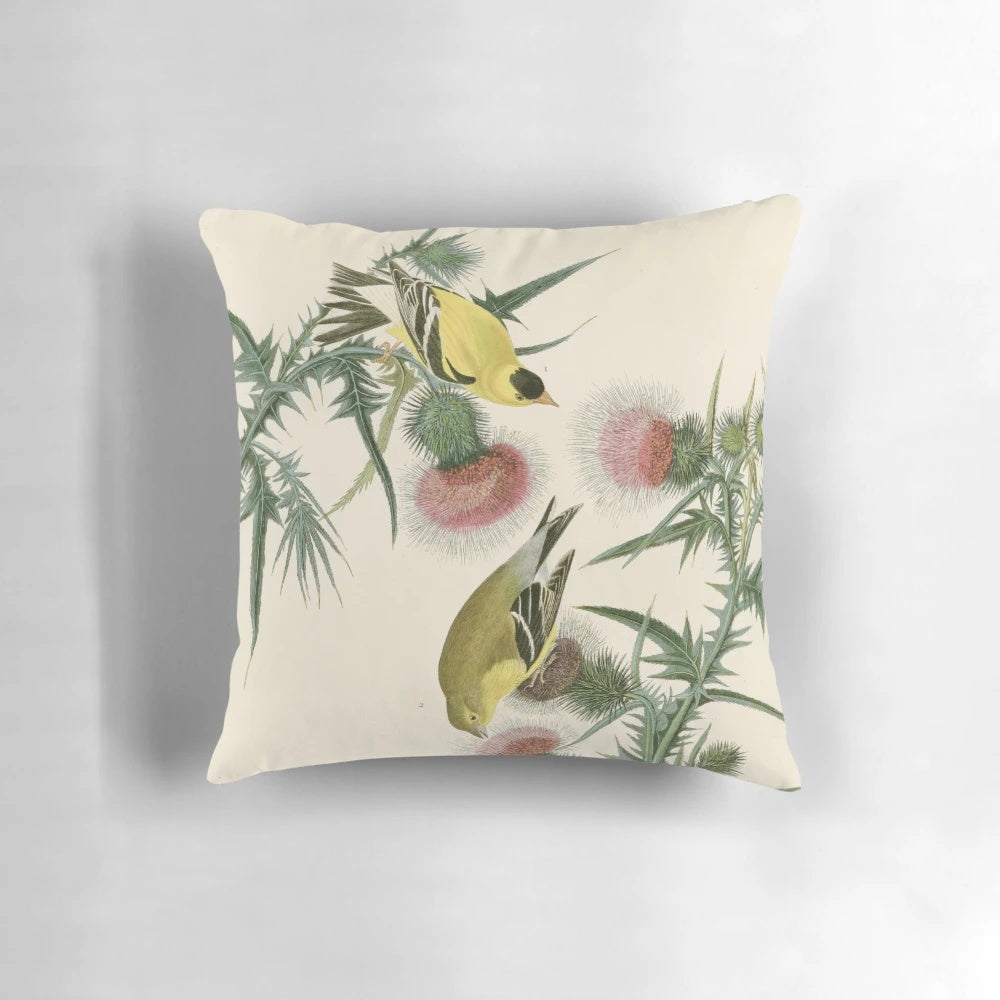 Vintage watercolor reproduction of an American Goldfinch from John James Audubon's Birds of America