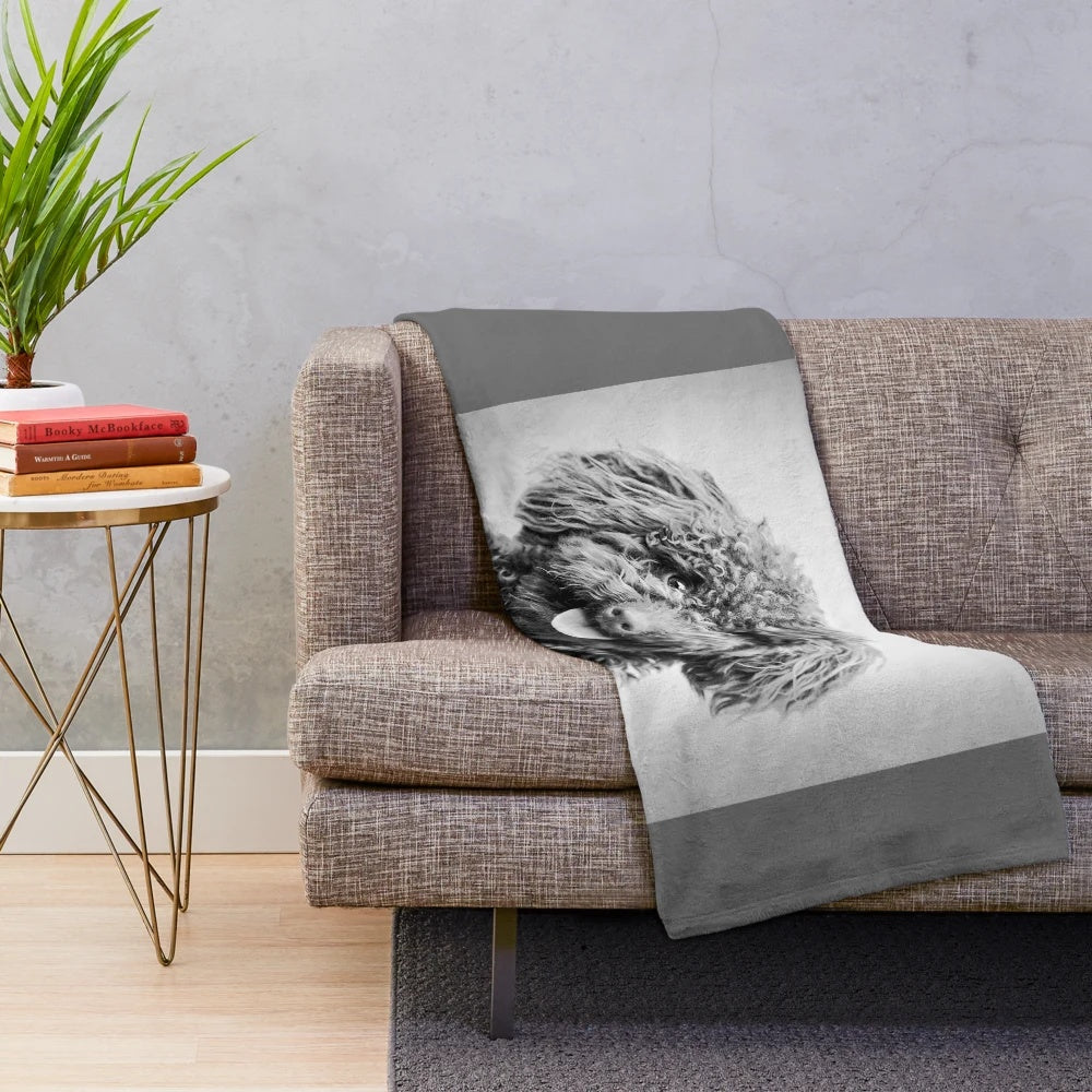 Vintage black and white portrait of a toy poodle dog