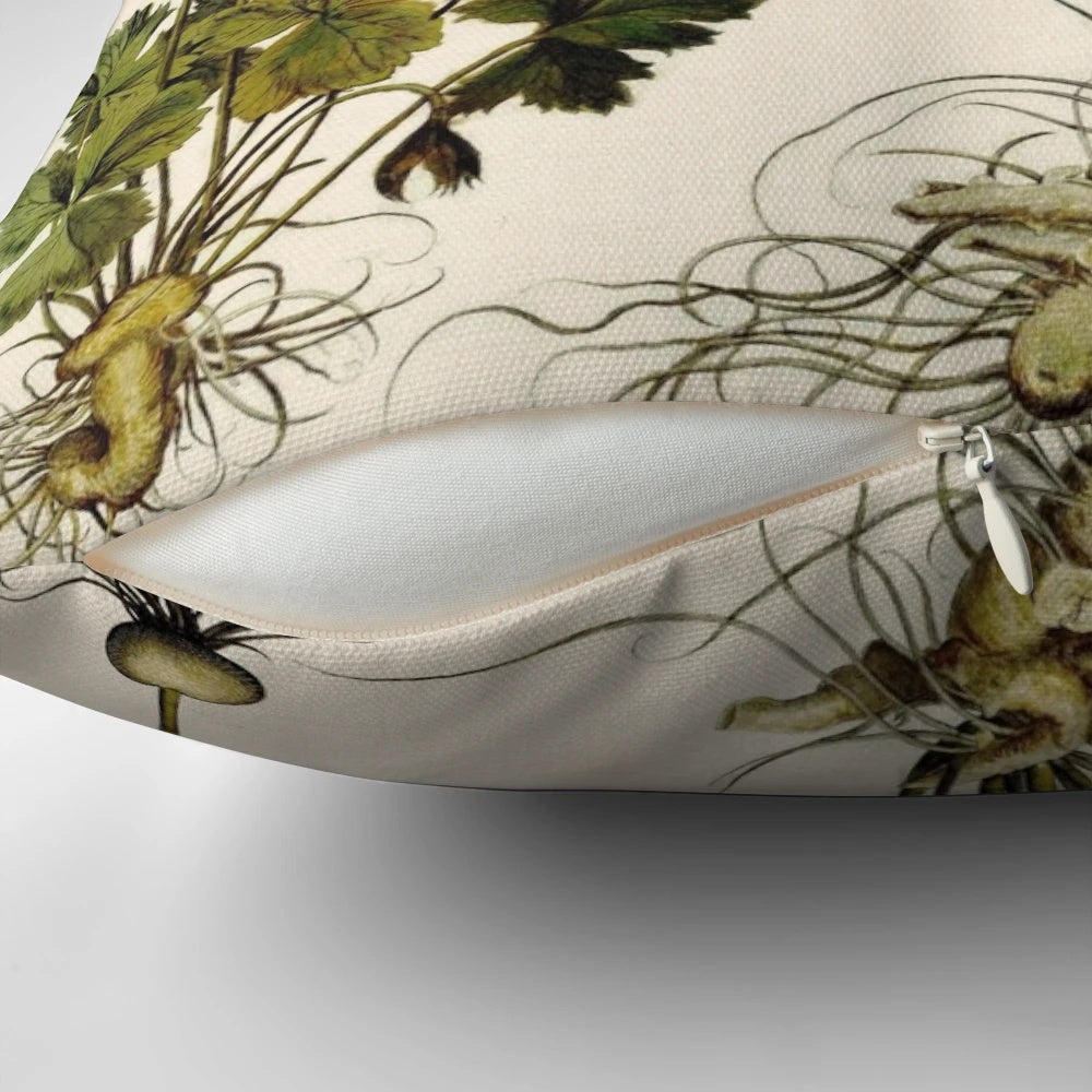 Vintage botanical pillow featuring a painterly study of an anemone flower and other botanicals.