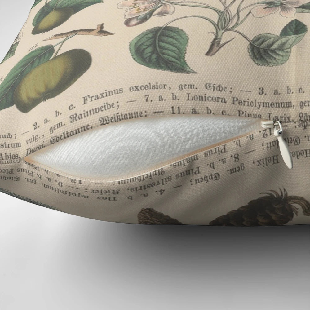 Vintage botanical illustration printed on a decorative throw pillow