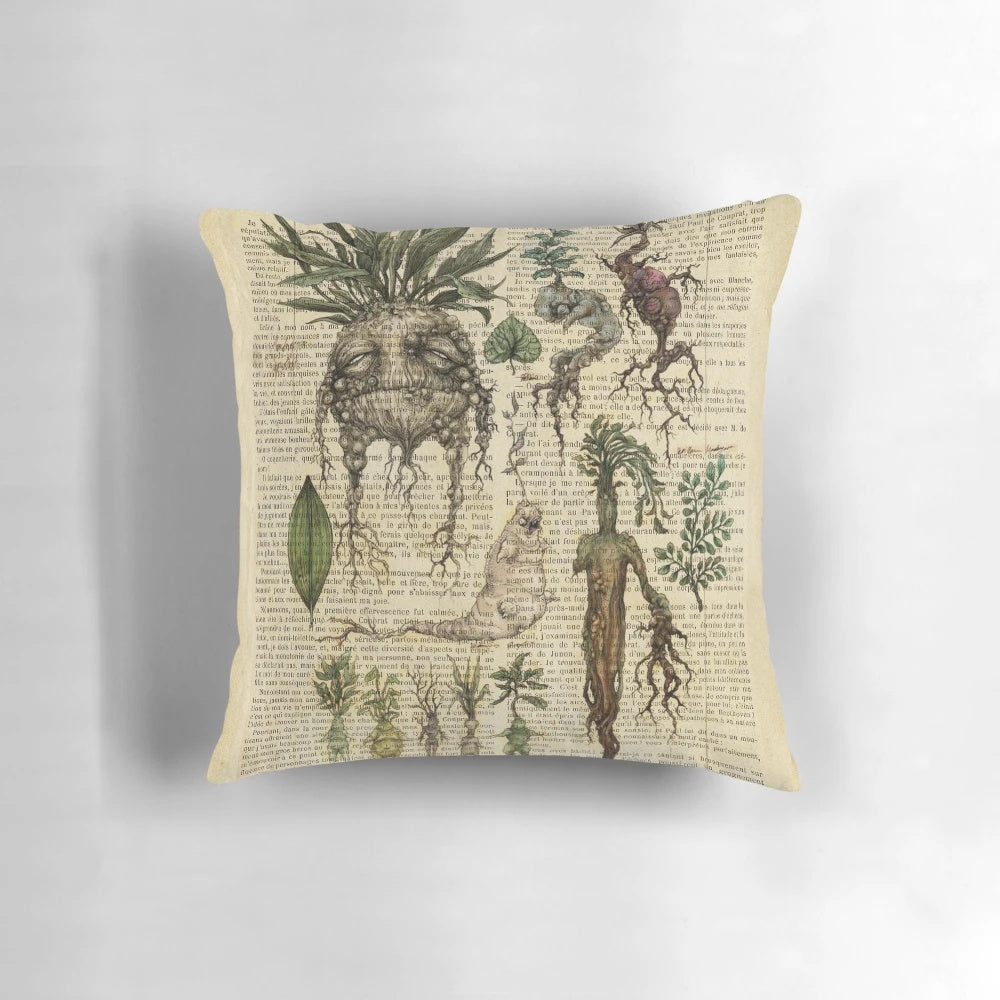 Vintage botanical print of mandragora or mandrake plant on an aged book page, used as a decorative pillow.