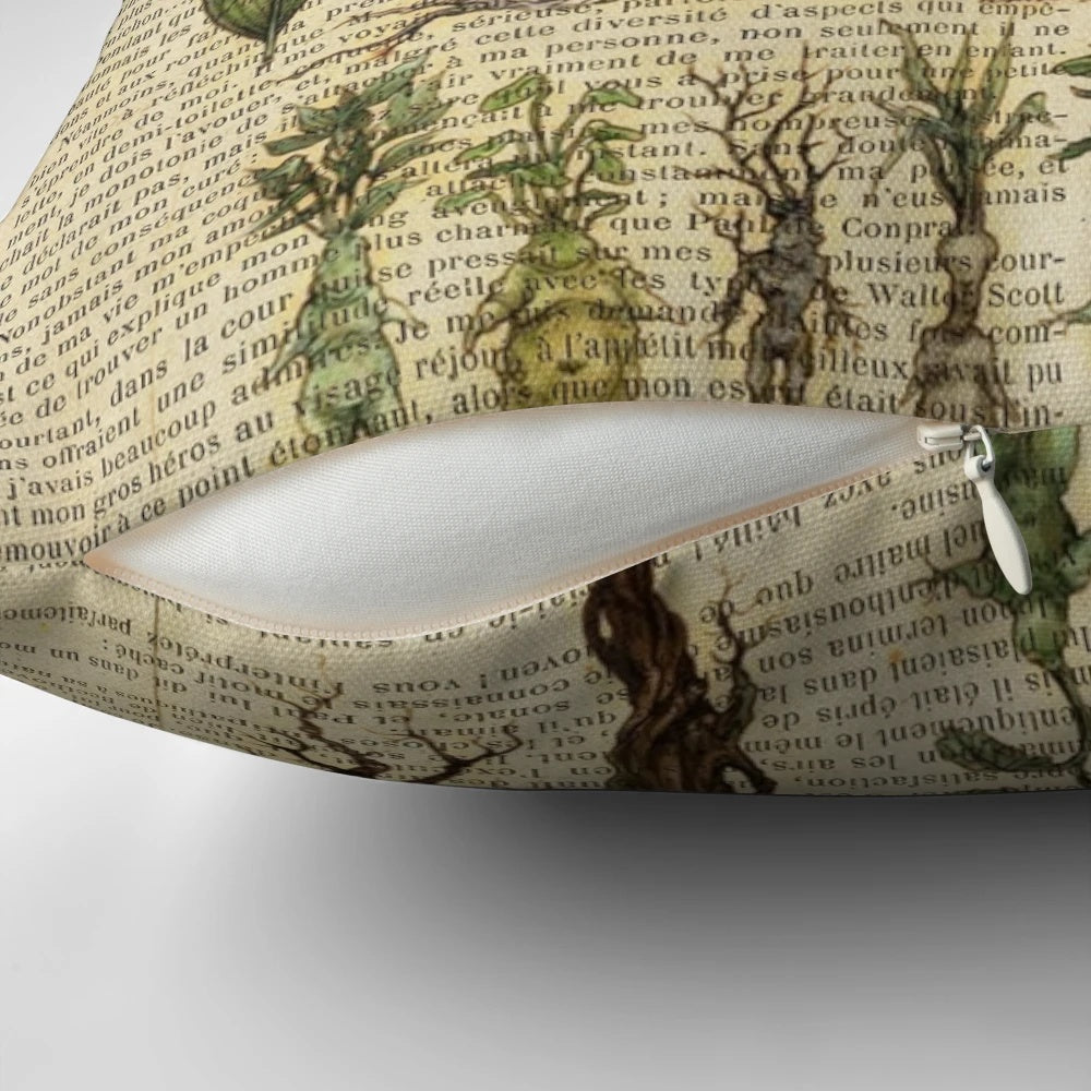 Vintage botanical print of mandragora or mandrake plant on an aged book page, used as a decorative pillow.