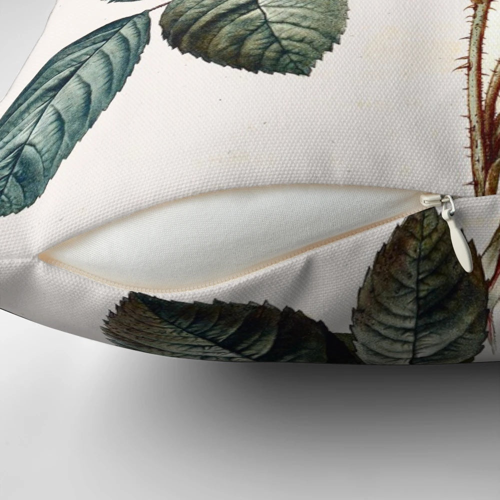 Vintage-style botanical rose pillow with Redoute-inspired floral design