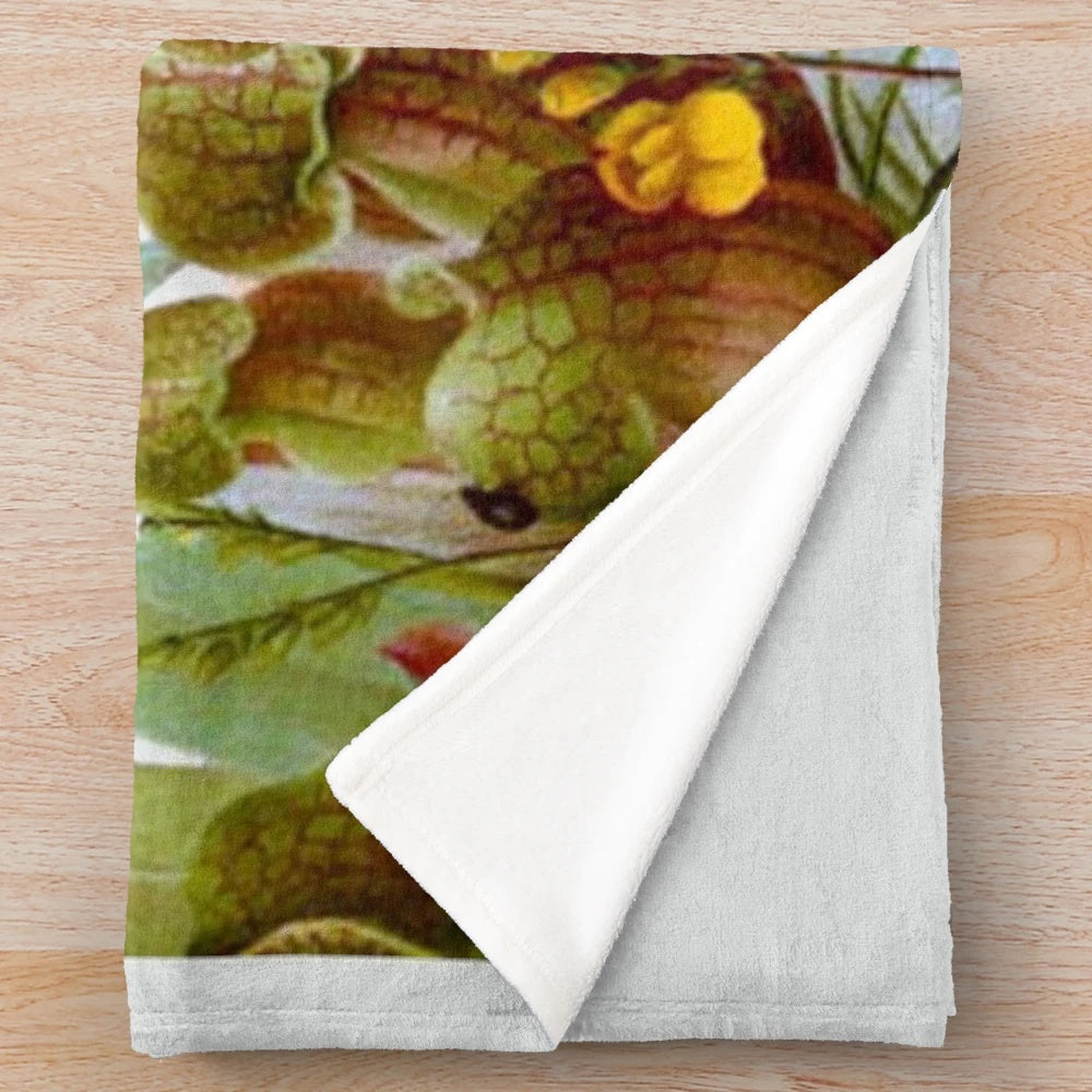Vintage illustration of carnivorous plants like Venus flytrap and pitcher plants printed on a plush blanket