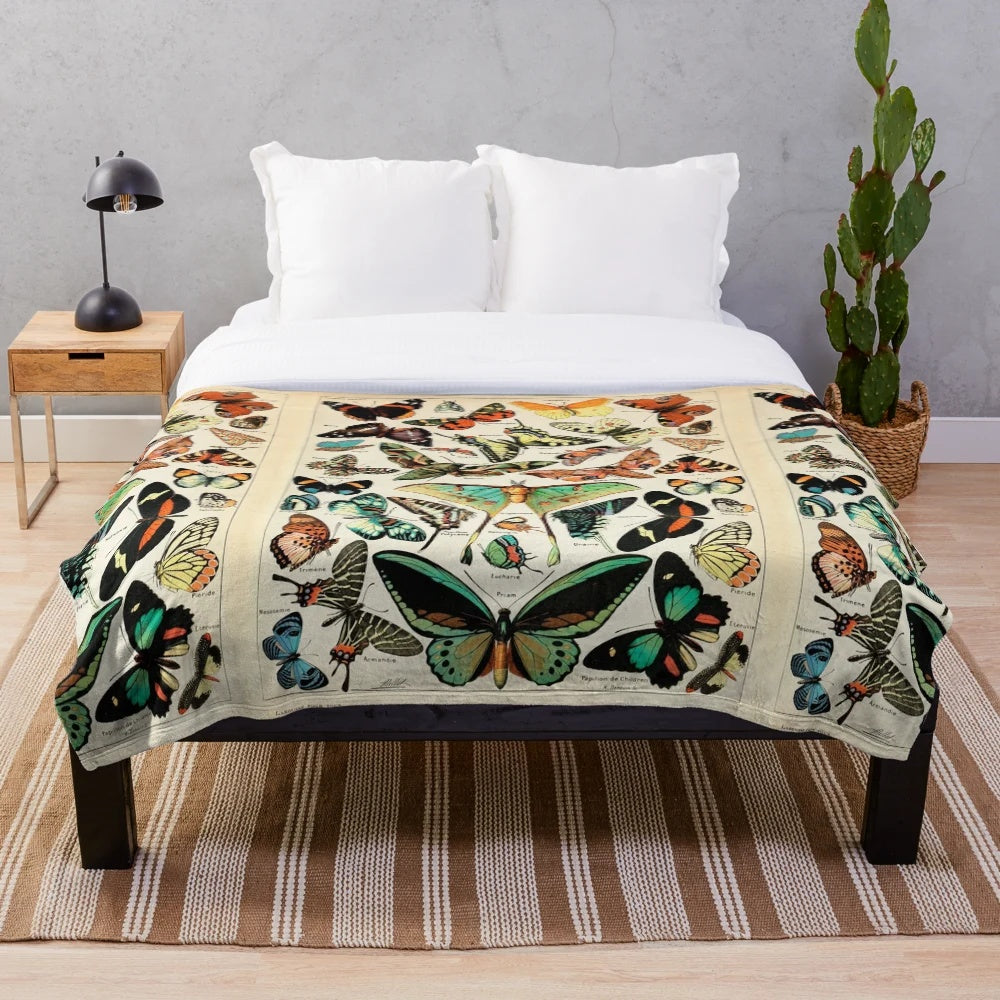 Vintage French butterfly charts plush blanket featuring scientific illustrations of butterflies