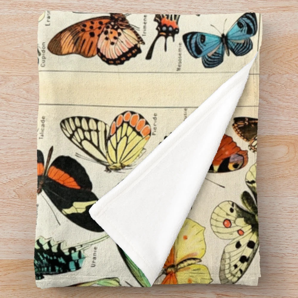 Vintage French butterfly charts plush blanket featuring scientific illustrations of butterflies