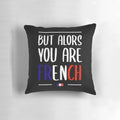Vintage "The Big Mop" (La Grande Vadrouille) comedy movie pillow featuring French actor Louis de Funes