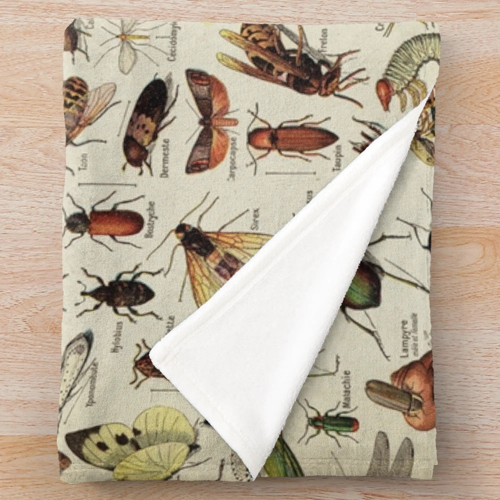 Vintage insect illustration plush blanket featuring scientific drawings of insects, beetles, butterflies, and other bugs