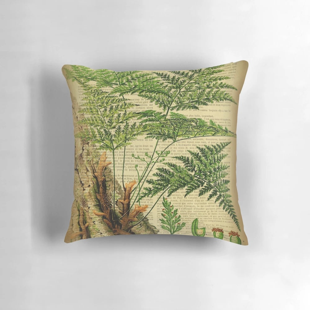 Vintage-styled botanical fern print on a pillow
