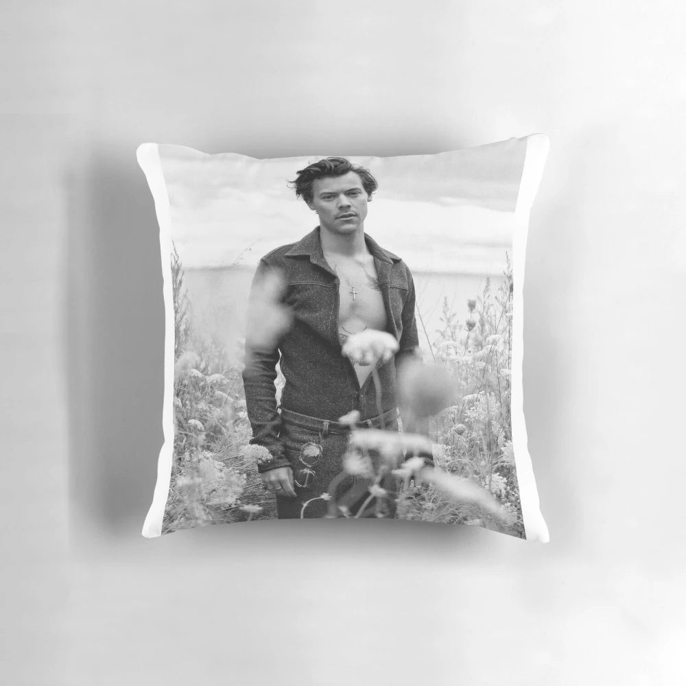 Vintage-inspired decorative pillow featuring song lyrics and concert imagery for Harry Styles fans