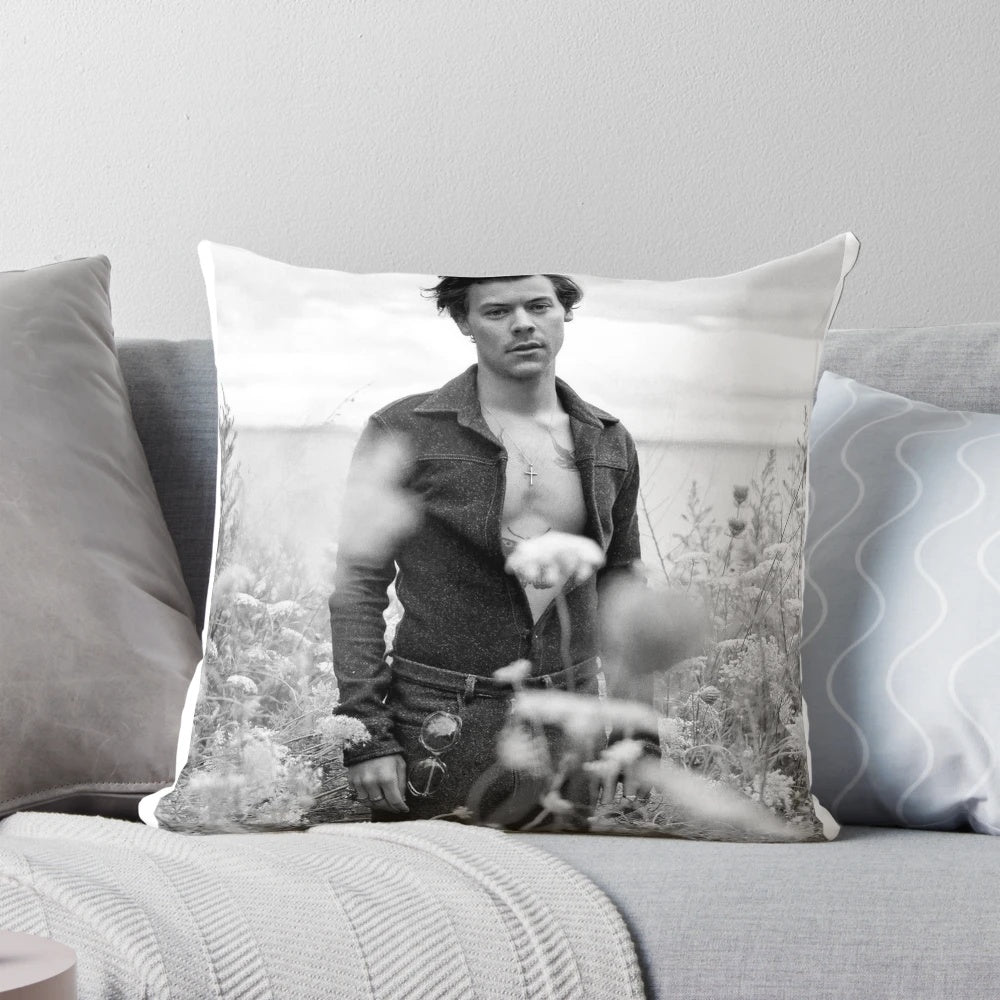 Vintage-inspired decorative pillow featuring song lyrics and concert imagery for Harry Styles fans