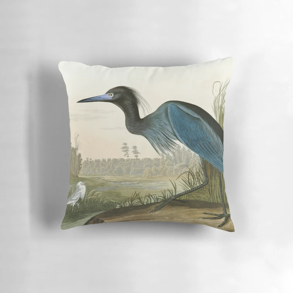 Vintage watercolor engraving of a little blue heron from John James Audubon's "Birds of America" natural history illustration collection