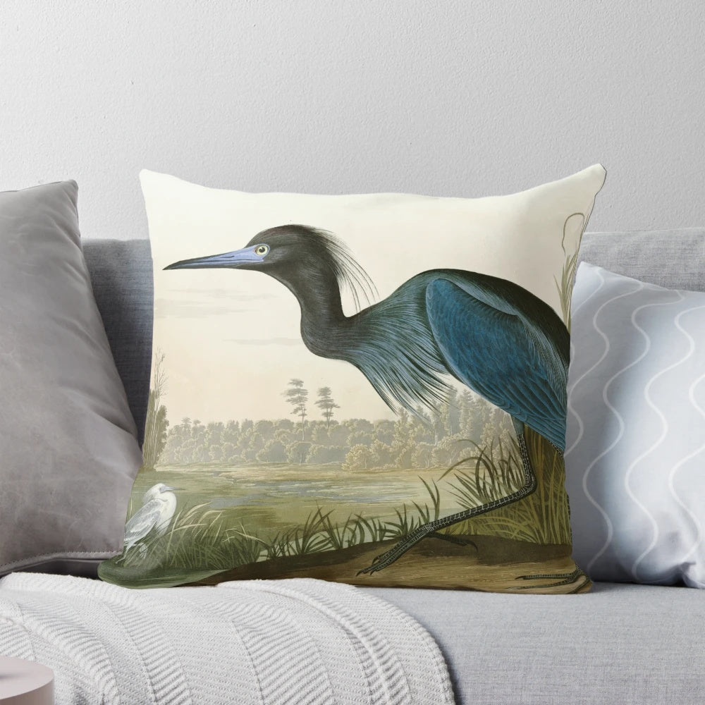 Vintage watercolor engraving of a little blue heron from John James Audubon's "Birds of America" natural history illustration collection