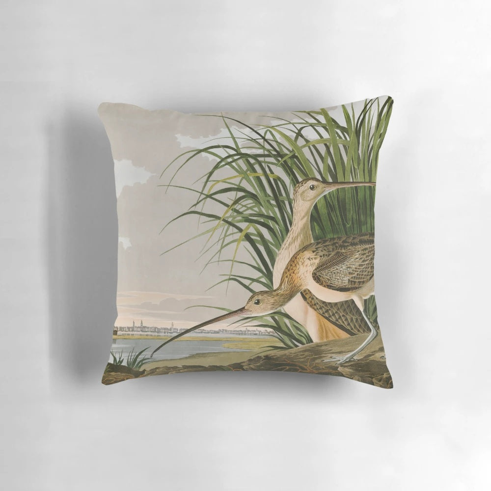 Vintage Audubon print of a long-billed curlew shorebird, a classic work of natural history art