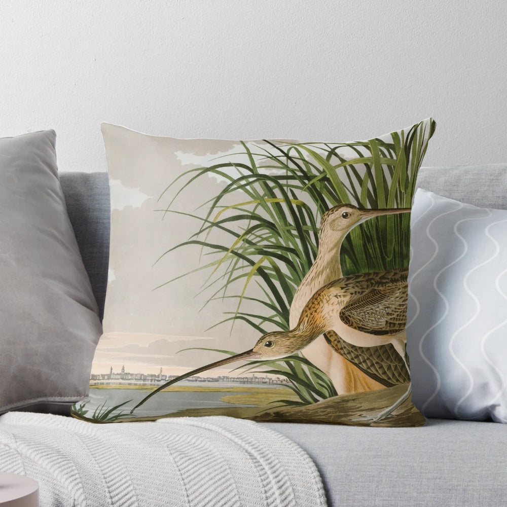 Vintage Audubon print of a long-billed curlew shorebird, a classic work of natural history art