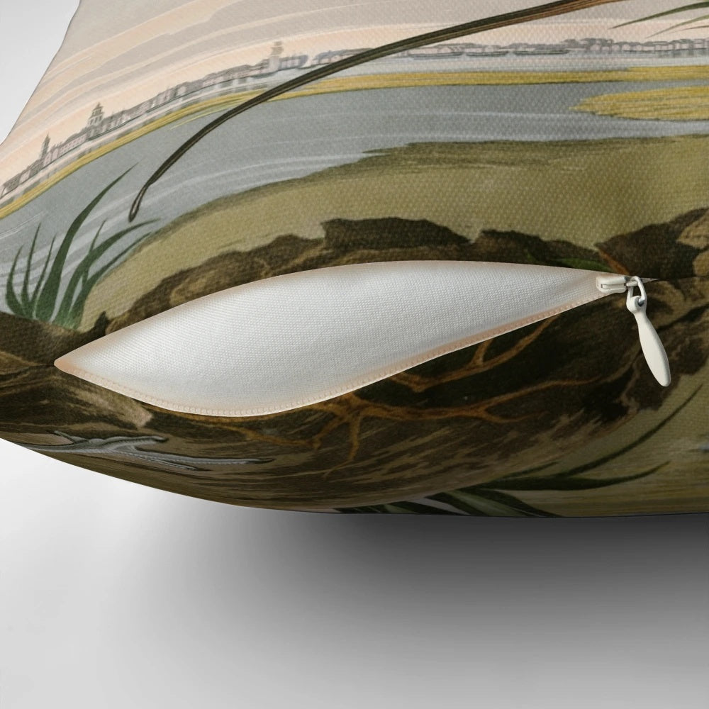 Vintage Audubon print of a long-billed curlew shorebird, a classic work of natural history art