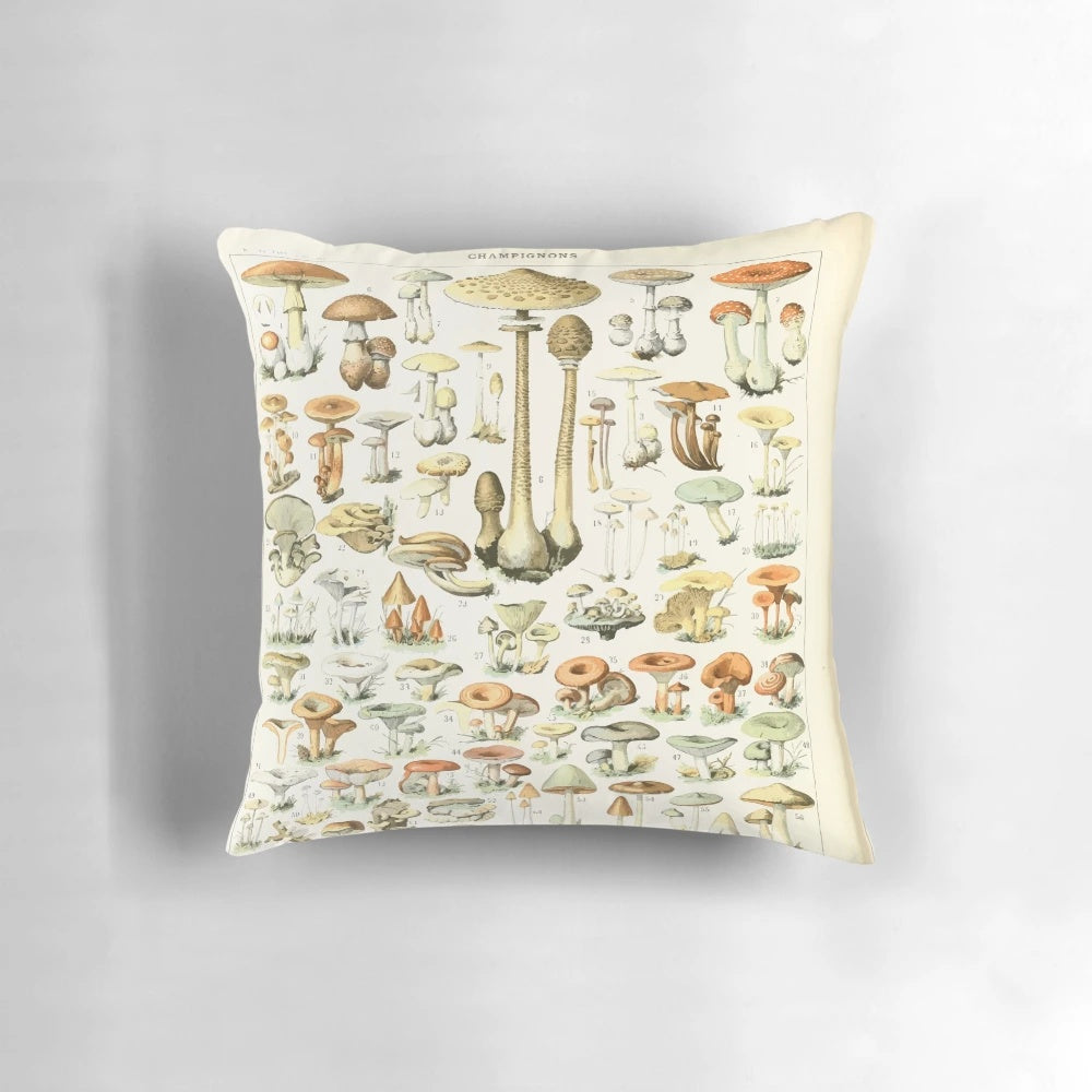 Vintage illustration of a mollusk, or champignon, by Adolphe Millot on a decorative pillow.