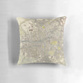 Vintage Old Dublin Ireland Map (1883) - Historical Irish Capital City Atlas Pillow