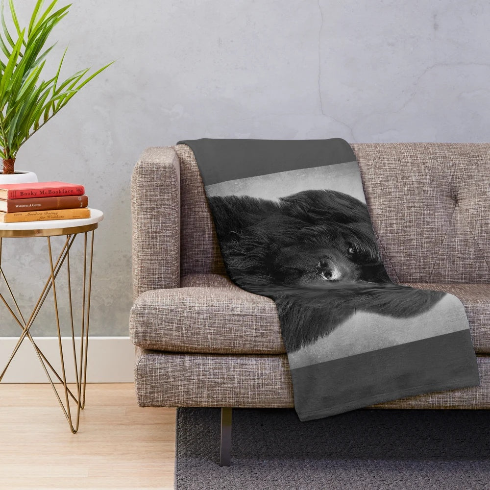 Vintage-style black and white portrait of a Newfoundland dog