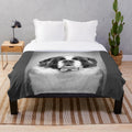 Vintage-style black and white portrait of a Saint Bernard dog on a plush blanket