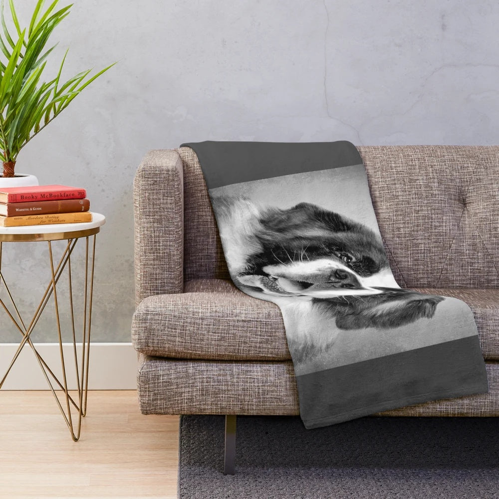 Vintage-style black and white portrait of a Saint Bernard dog on a plush blanket