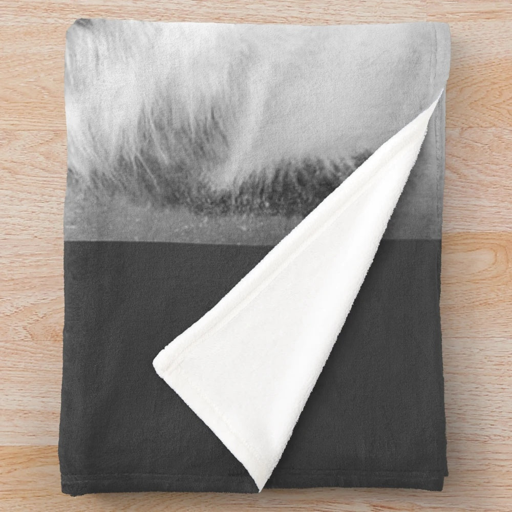 Vintage-style black and white portrait of a Saint Bernard dog on a plush blanket