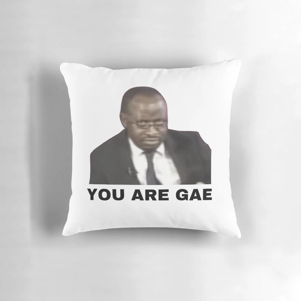 A soft, comfortable pillow featuring the viral Uganda gay rights interview meme