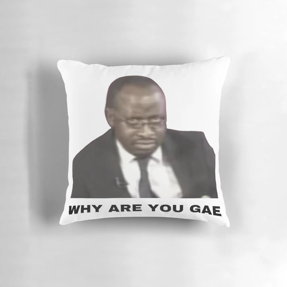 Vibrant pillow featuring the iconic "Why are you Gae" meme from the Uganda gay rights interview, a viral internet sensation.