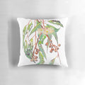 Watercolor illustration of an eucalyptus tree branch with white flowers and gumnuts