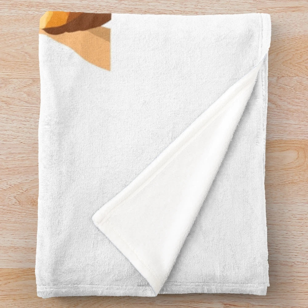 Waterparks band inspired plush blanket