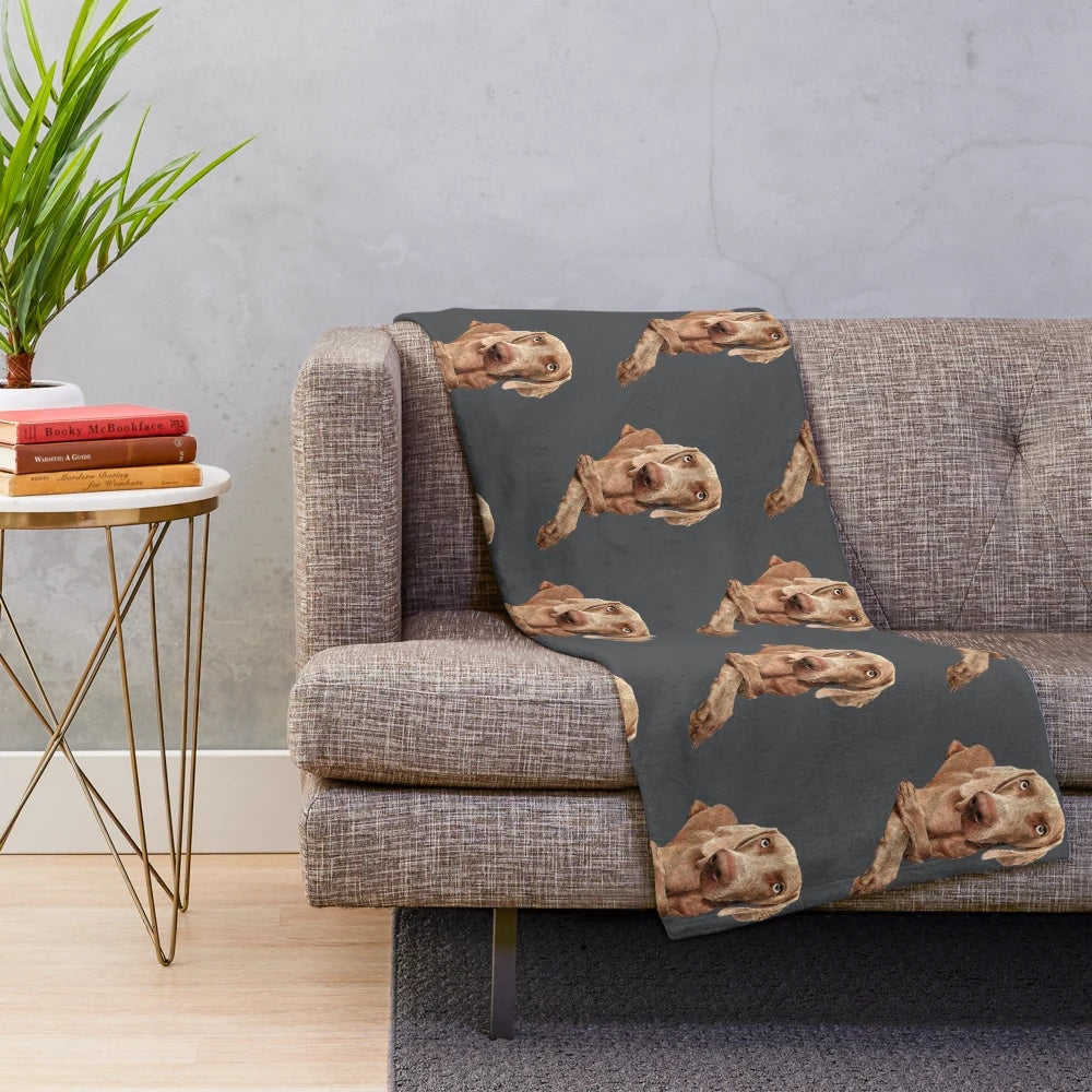 Weimaraner dog portrait on a cozy plush blanket