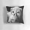 Whimsical decorative pillow featuring a luck dragon design inspired by the classic fantasy film "The Neverending Story"