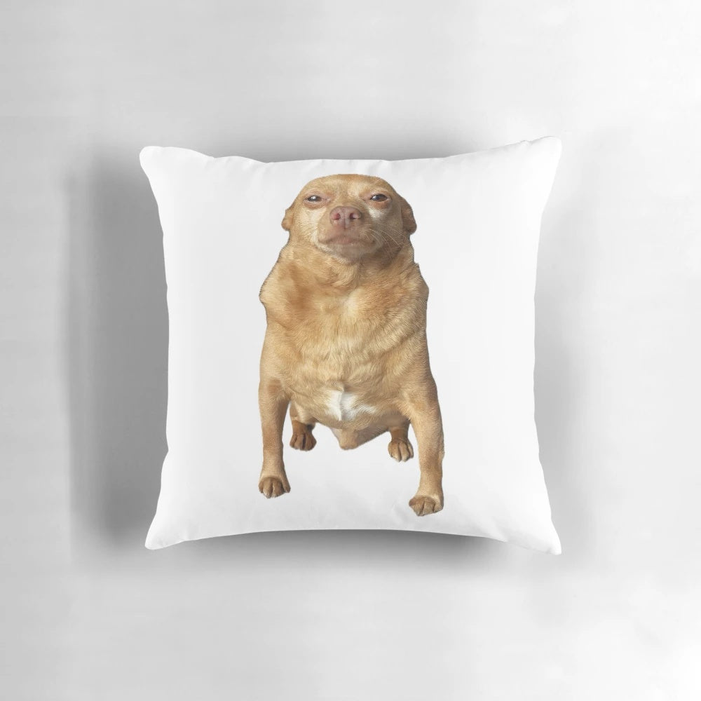 A cozy, mouse-shaped pillow with a playful, humorous design