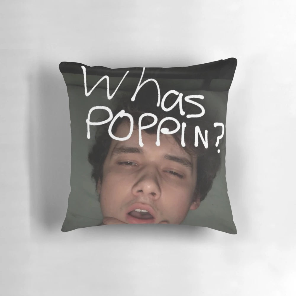 Wilbur Soot inspired pillow with a soft, plush design