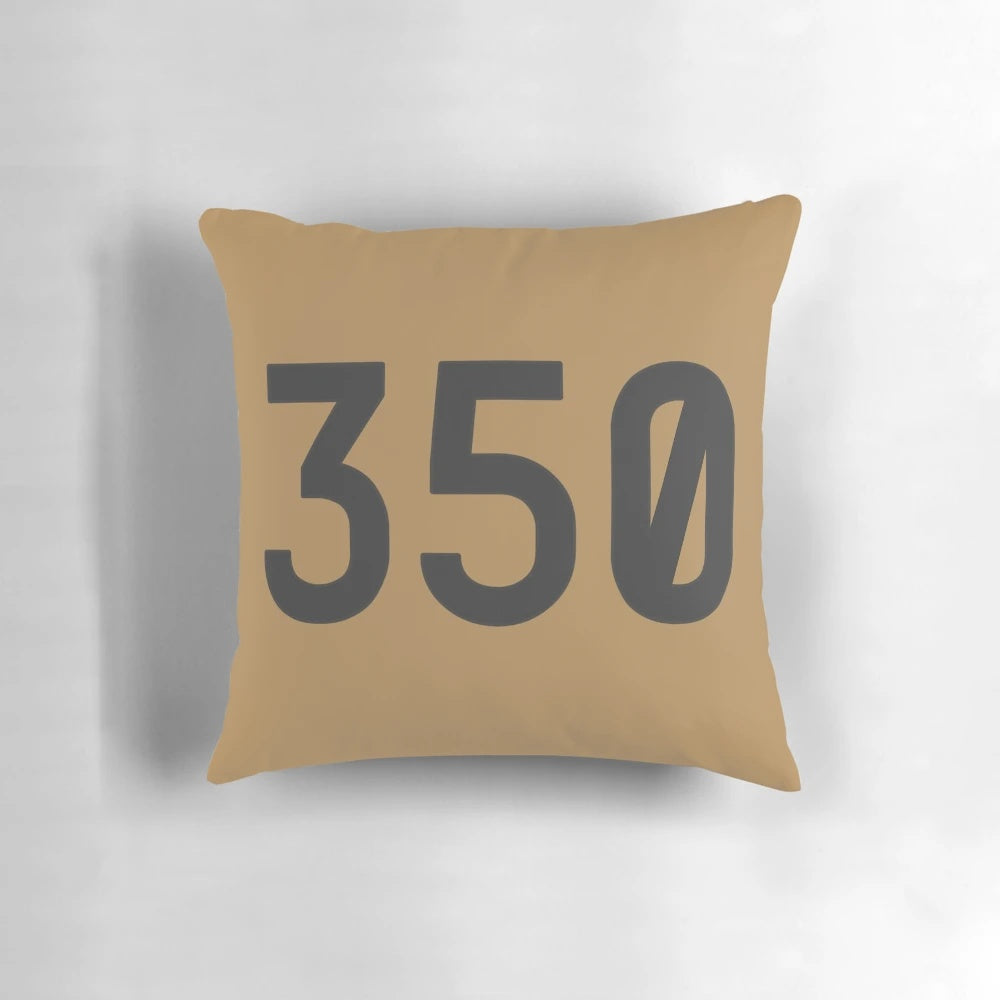 Yeezy 350 Hype Phone Cover Case Pillow