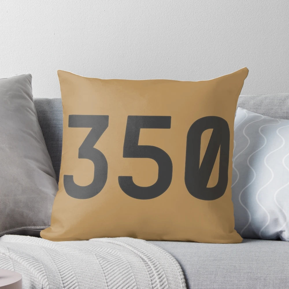 Yeezy 350 Hype Phone Cover Case Pillow
